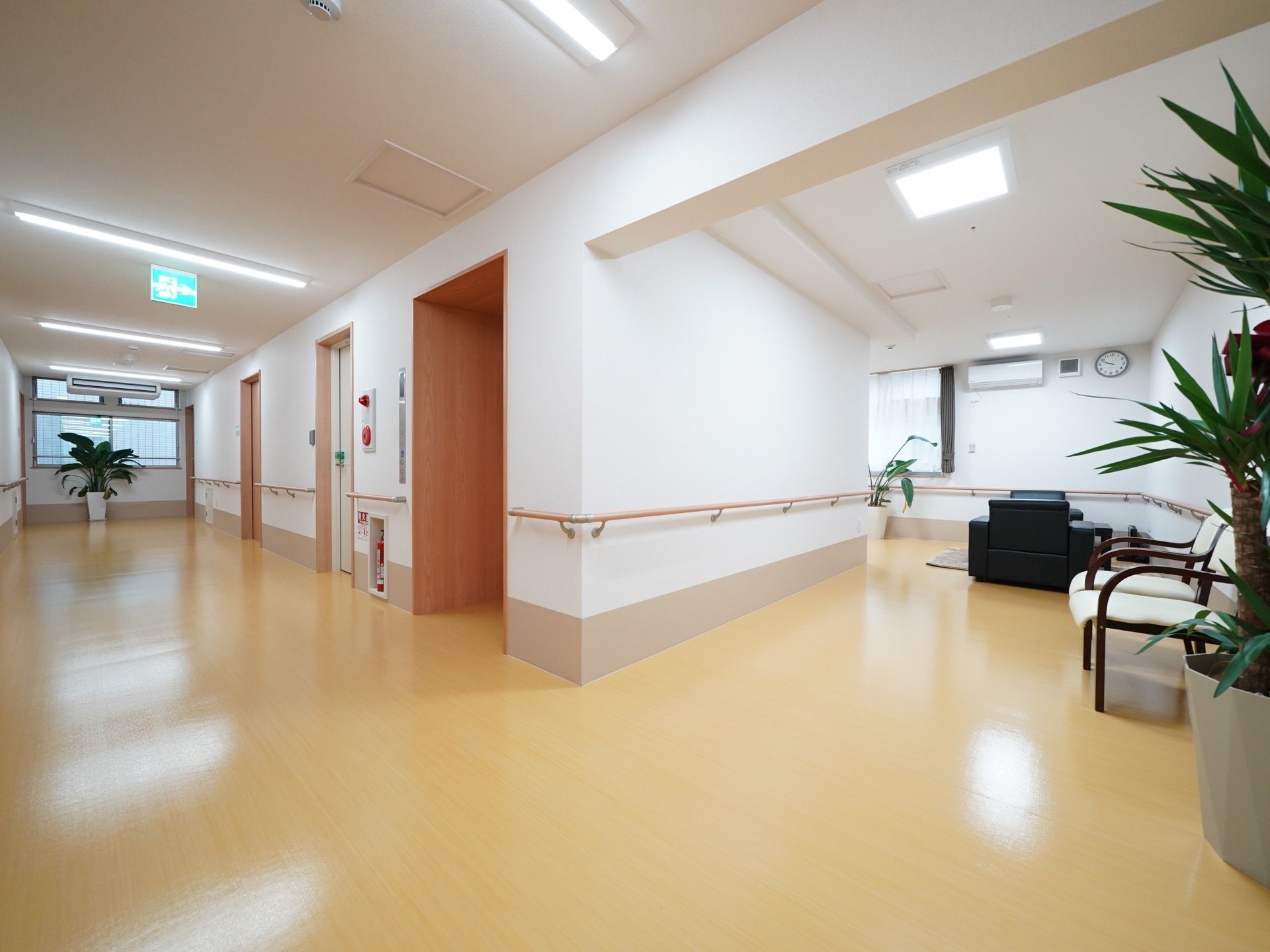 天井照明で反射するほどきれいに磨かれた床が広がる。隅々に観葉植物が置かれている。壁に沿って手すりが設置されている。