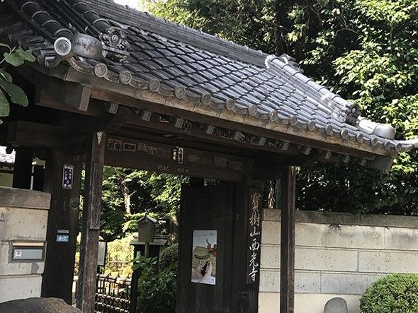 歴史を感じさせる趣のある門構えである。社殿も美しい。180ｍほどの距離にあり、散歩がてら出かけるにも丁度よい。
