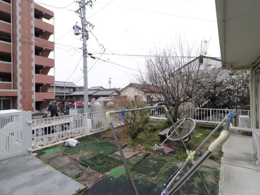 庭