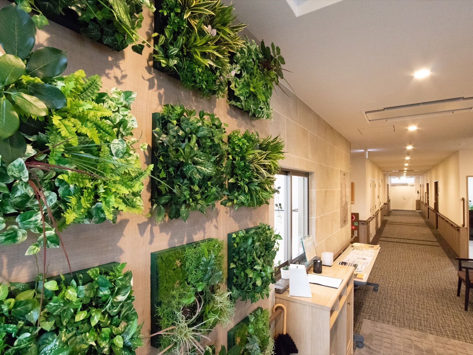 壁のマス目型に仕切られたスペースに植物が植えられている。隣には受付窓口があり、その先は居室の並ぶ廊下へと続いている。