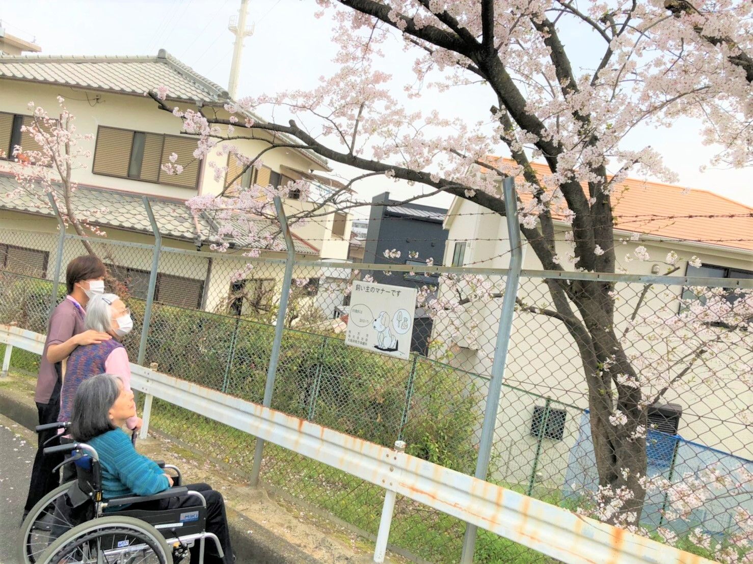 季節の花咲く木を見上げる２名の女性の入居者様とスタッフ
