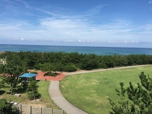遠くに海を望む自然豊かな環境で、のんびり健康的な暮らしが楽しめる。近隣にはお寺や公園などがあり気軽に散策できる。