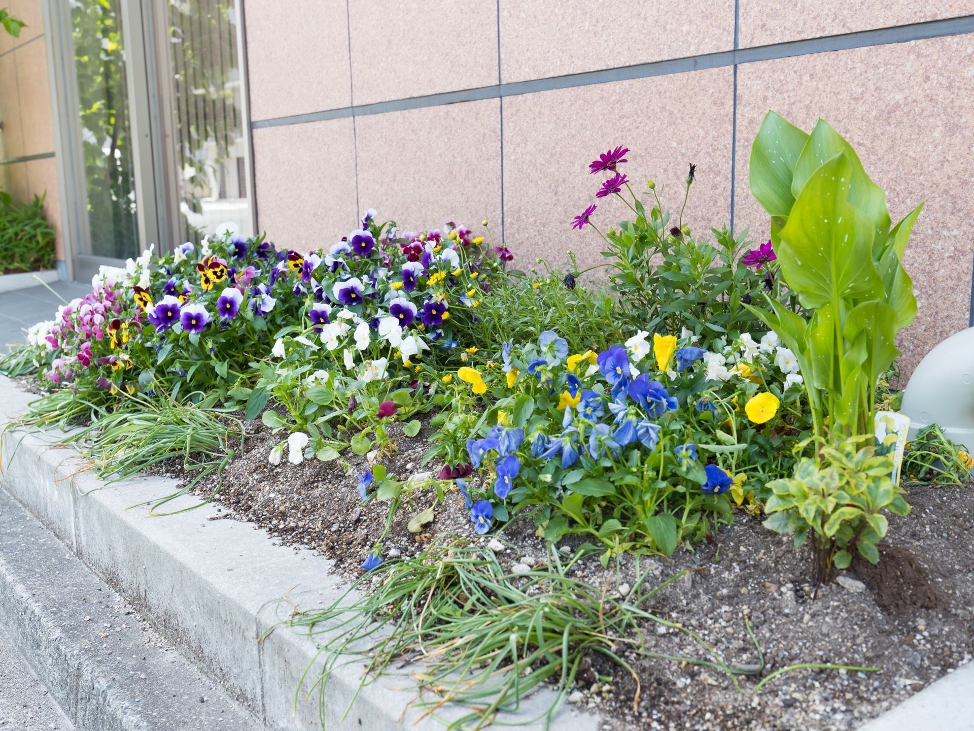 施設の周りには、綺麗な花が植えられた花壇がある。常に整えられており、いつでも花を眺めることができる。