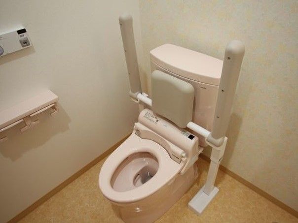 洋式トイレに、しっかりした作りの介護用の背もたれと手すりが設置してある。ペーパーホルダーの上にはトイレの操作ボタンがある。