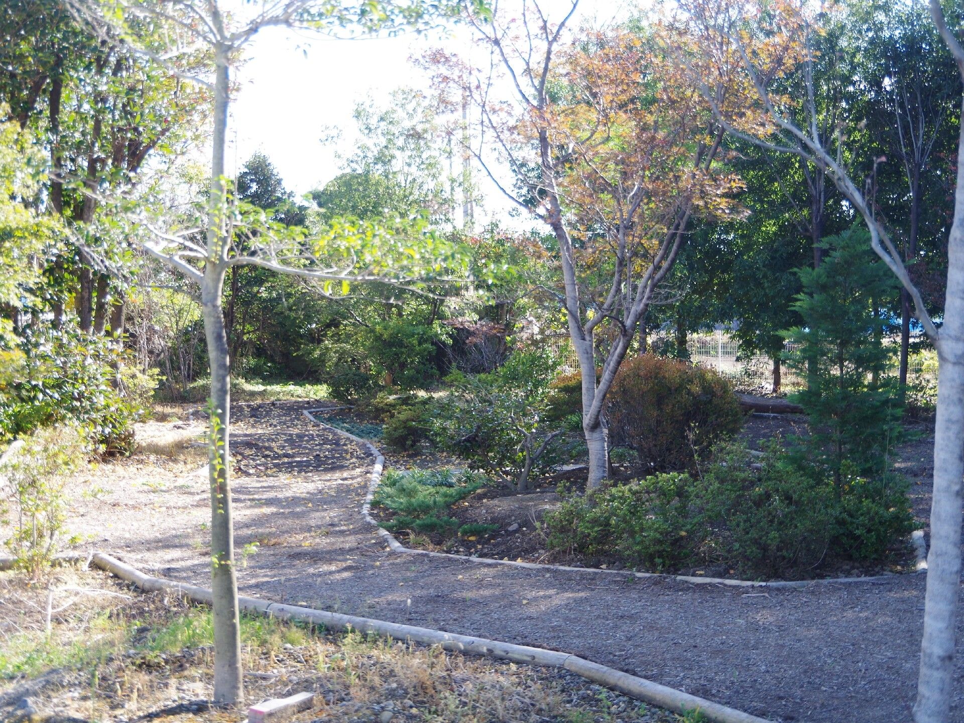 公園。緑が鮮やかだ