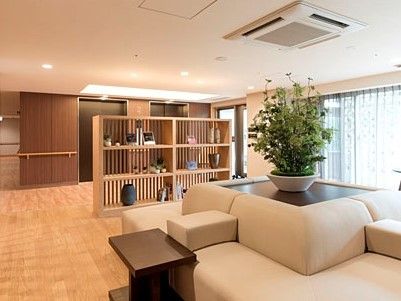 ソファーの中央に大きな植物を飾っている部屋。近くには木製の棚を設置し、さまざまな美術品を並べている。