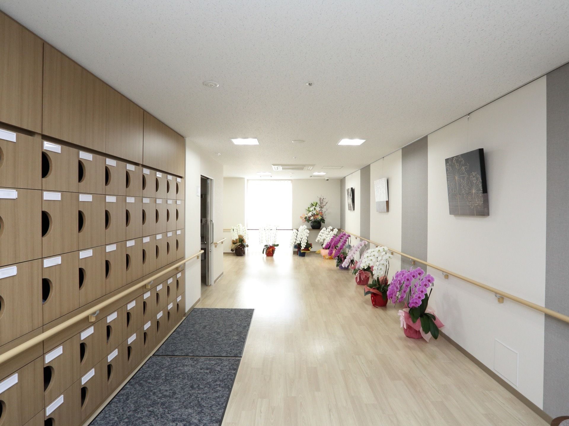 幅の広い通路にたくさんの胡蝶蘭の植木鉢が置かれている。木目調の大きな下足箱が設置されている。壁側には手すりが設置されている。