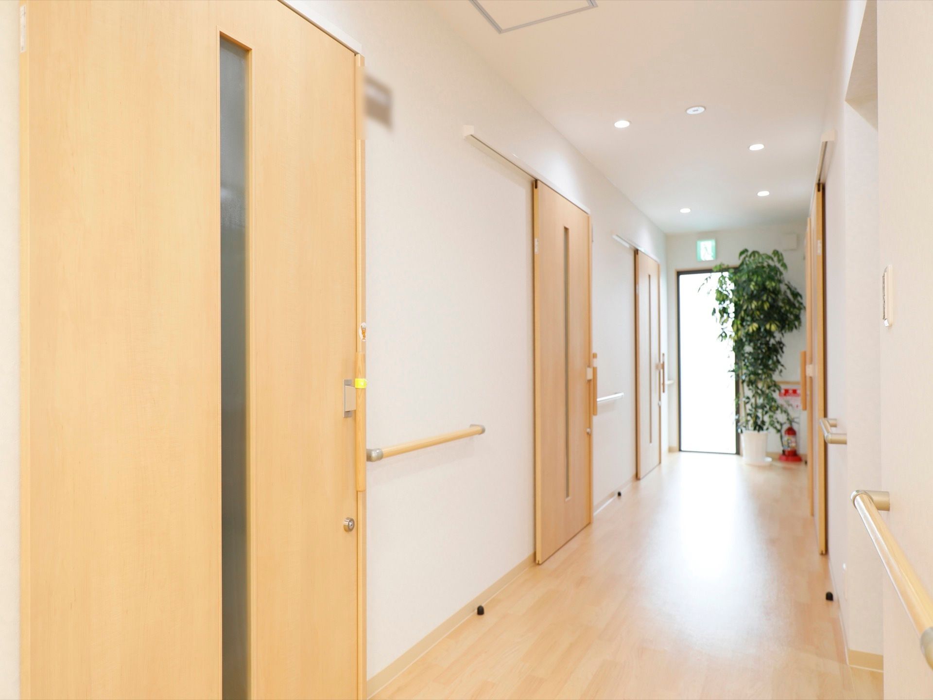 背丈の高い青々した観葉植物が、通路の突き当りに置かれている。あたたかみある色の床と建具が備え付けられている。