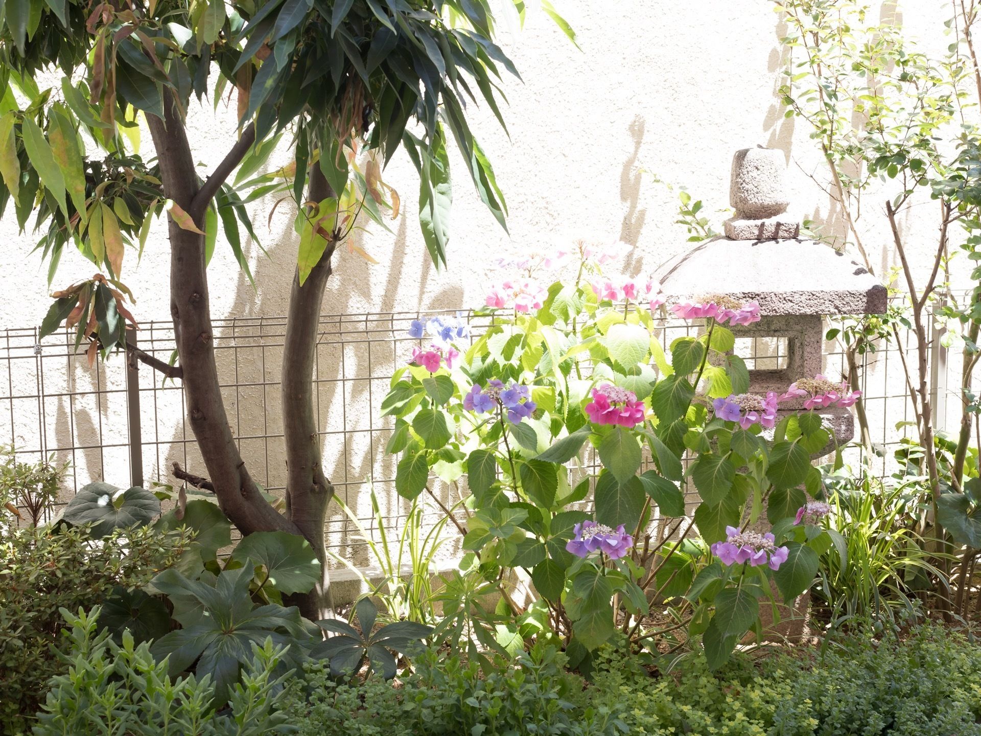 敷地内の庭である。木や季節にあった色鮮やかな花が植えられており、リビングや居室からも見ることができる。
