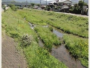 草原が広がっている土手。民家が多く建っており、周りに高い建設物がないので、美しい景観を眺めることができる。
