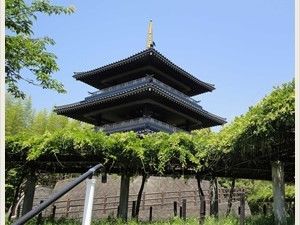 近くにある公園。大きな寺が建っており、行事の際に訪れることもできる。自然が多く、どの季節も落ち着いた雰囲気である。