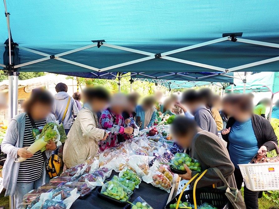 市場が月に１度開催されている。新鮮な果物や野菜を購入することができ、簡単な料理を楽しむことができる。