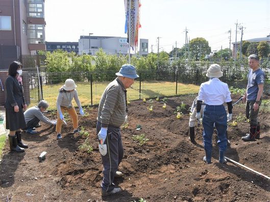 畑での共同作業