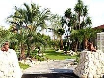庭園に南国を思わせる植栽がされている。入居者様は散歩などで南国のリゾート気分を味わうことが可能となっている。