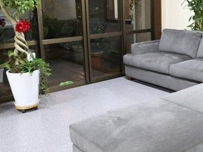 リビングにガジュマルの鉢とソファーが置かれている。入居者様はいつでもご自由にお使いいただくことができる。