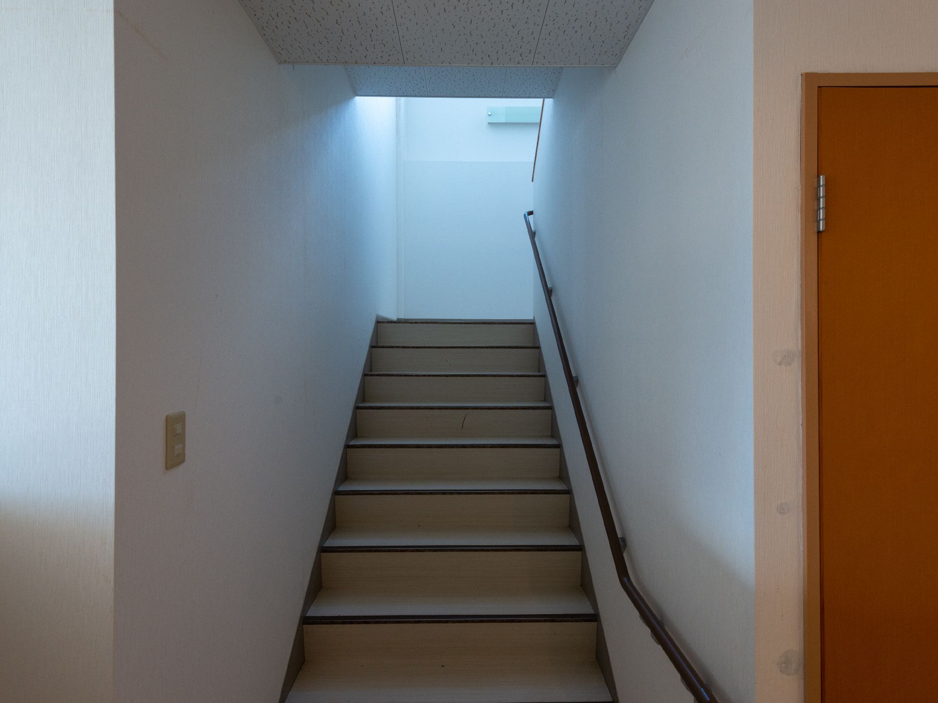 手すりが設置され、転倒防止の対策がなされた階段