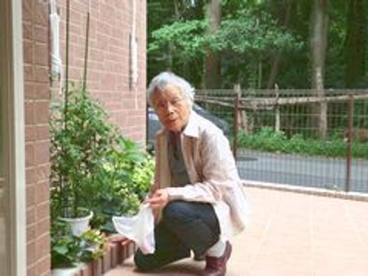 花壇