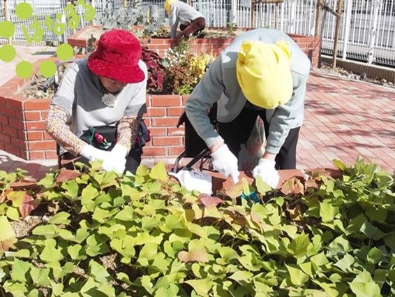 入居者様がスタッフと一緒に花壇の手入れをしている。後ろにも花壇が２つあり、さまざまな種類の植物が植えられている。