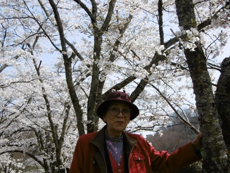 桜の咲く時期には、入居者様から参加者を募り、お花見に出かける。定期的に外出イベントがあるので、交流を持つ機会が多くある。