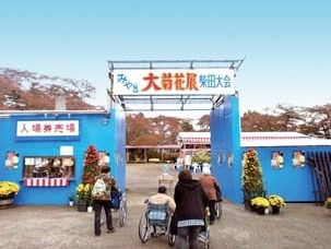 外出イベントとして大菊花展を訪れている複数の入居者様