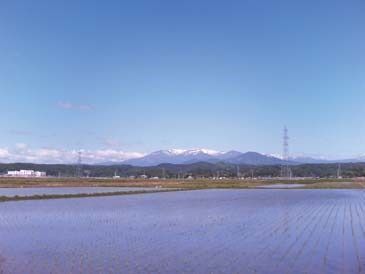 美しい田園風景が広がり、遠くの山々も壮観である。散歩しながら四季折々の花々や景色も楽しむことができる。