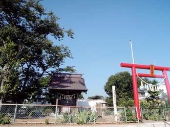 近くには歴史の古い神社があり、散歩コースにおすすめである。自然がたくさんあるので飽きることなく楽しめる。