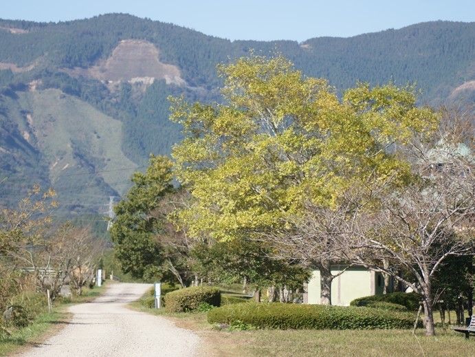 この山は霊山として知られており、薬草の宝庫であるといわれている。現在はウォーキングコースがあり、四季を楽しむことができる。