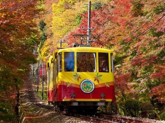 周辺には観光名所がたくさんあり、入居者様が散策に、またご家族様と観光にお出かけになるのに便利な立地である。