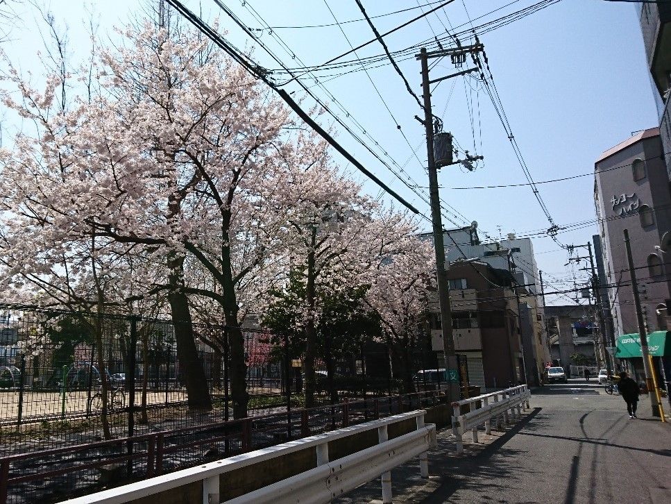 春の柔らかな日差し中庭