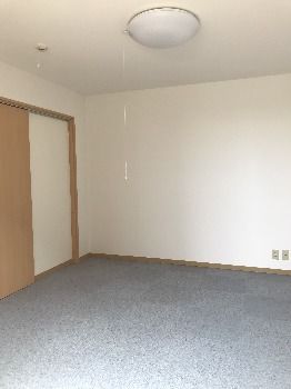 照明器具には、紐が付いており、紐を引いて明るさが調節できる。床には、グレーの素材を採用している。そしてドアは木目柄である。