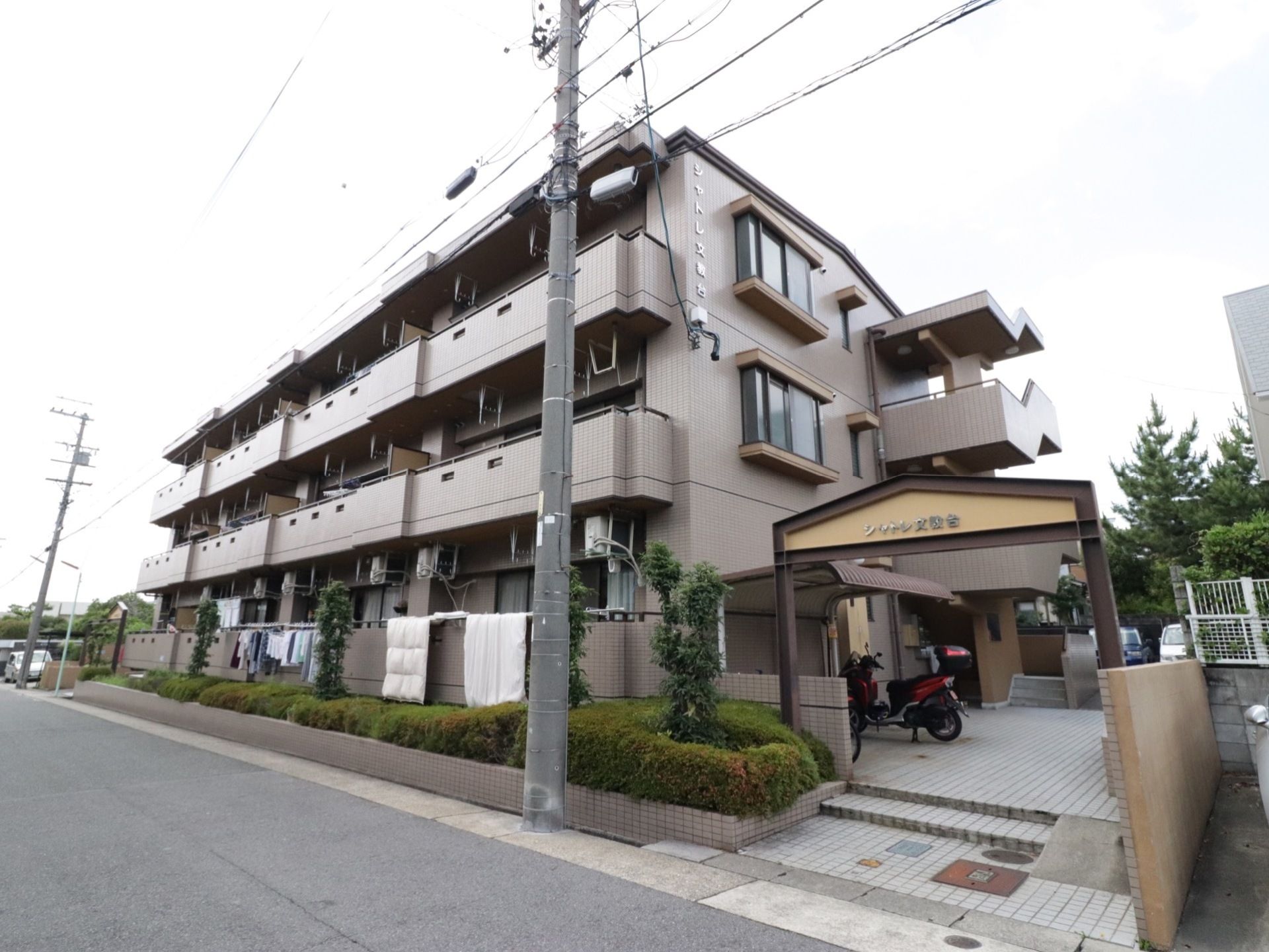 3階建ての建物は集合住宅のような佇まいとなっている。そばに入口とは別に駐輪場がある。緑が豊富な植栽がある。
