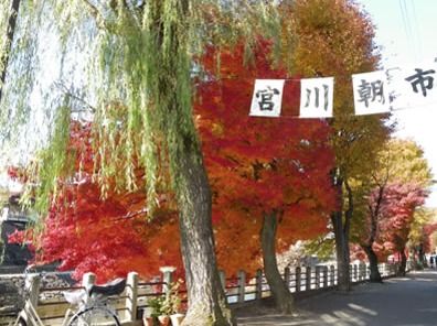 施設近郊の地域は、朝市が開催されるなど賑わっている。早朝のお散歩でも地域の方とコミュニケーションがとれる機会がたくさんある。