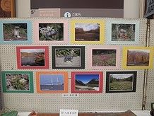 入居者様が撮影なさった写真の展覧会。多数の風景、花、動物などの力作が、丁寧に表装されて掲示されている。