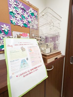 掲示物