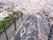 桜が満開になった並木通り。穏やかな春の風が吹く風景。