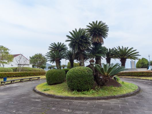 庭