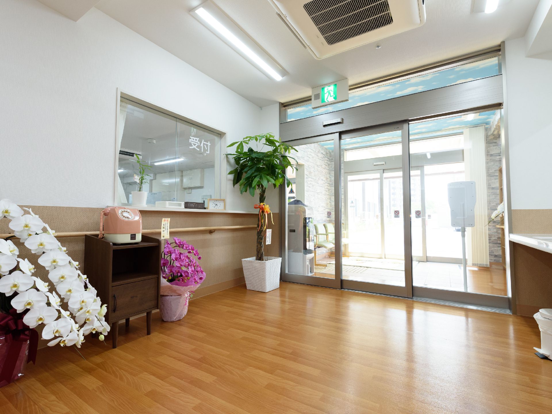 受付カウンター前にこちょうらんや観葉植物が設置されている玄関ロビー