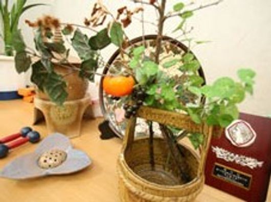 展示物