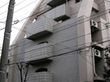 アレアイーストコートの写真
