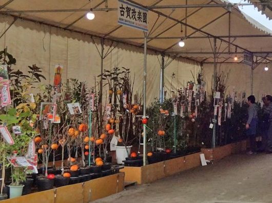 いきがいづくり