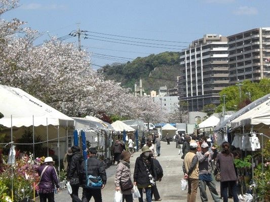 人がたくさんでて出店をまわっている様子が分かる。桜が咲いている季節