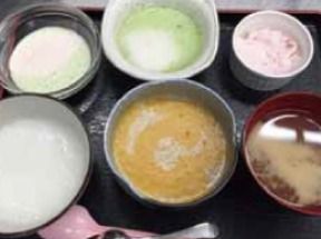 ペースト食。オレンジや緑のおかずのペースト食に、白ご飯やみそ汁もミキサーにかけられている。