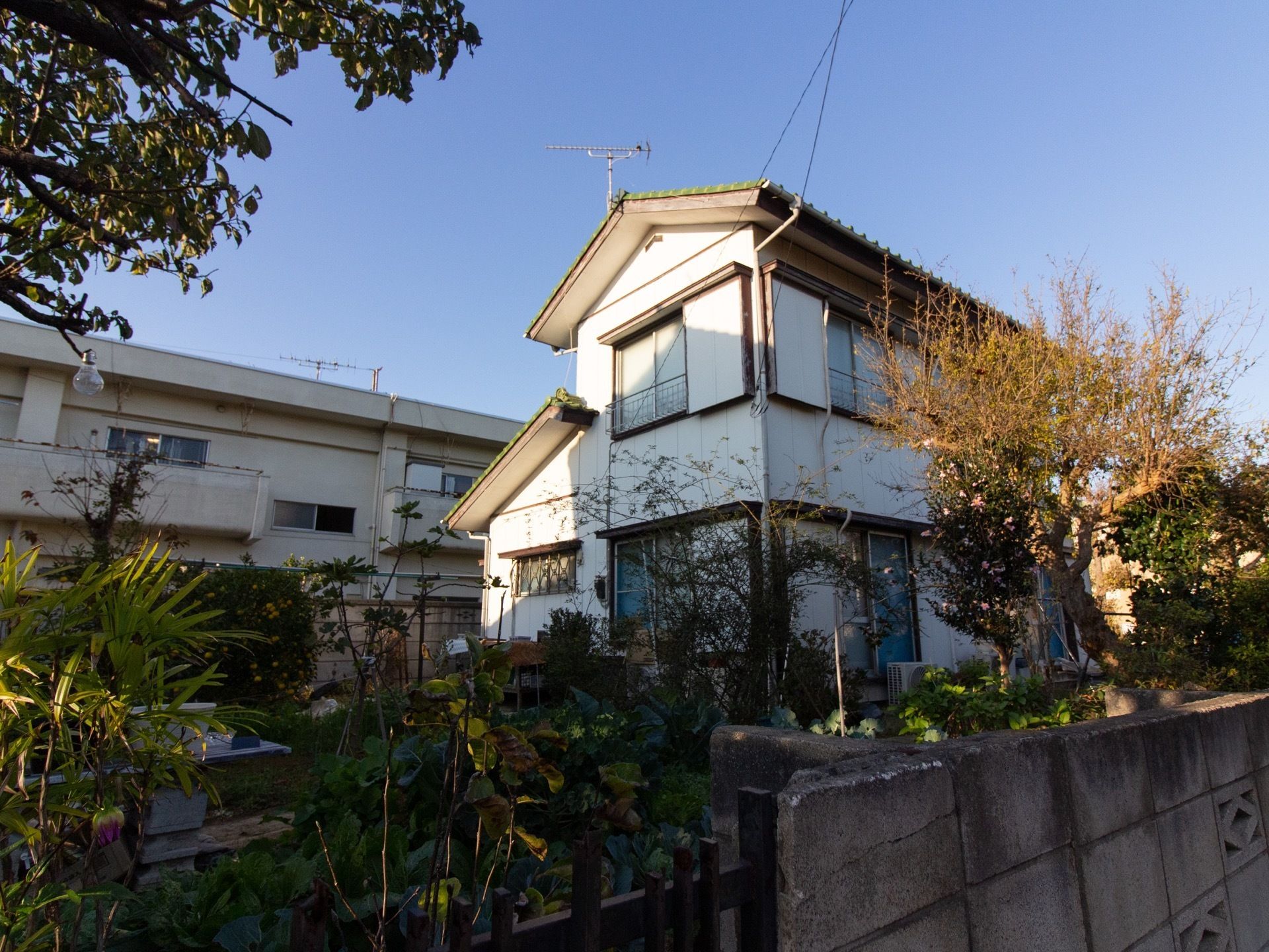 民家を思わせるような安心感のある２階建ての建物である。周辺はブロック塀で囲まれていて、草木がたくさん植えられている。