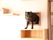 猫が猫用窓から出ようとしている写真。木枠が設けられているのが分かる