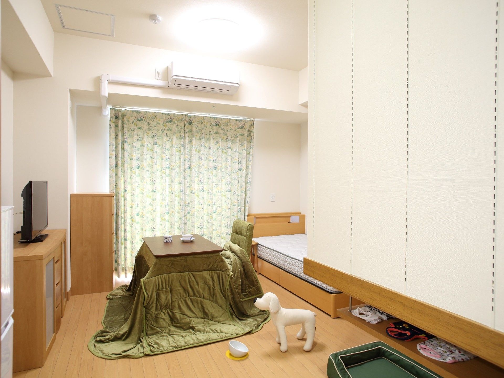 一人用の部屋に柔らかい照明。こたつとテレビ、カーテンが写っている