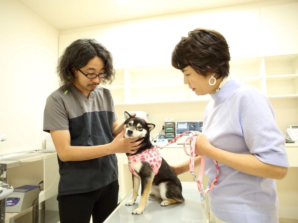 犬の様子を見ているスタッフの様子。飼い主と話している様子が写っている