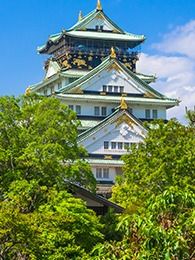 大阪城を下から見たような写真。公園から大阪城を眺めているのがわかる