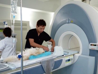 高度動物医療ネオベッツVRセンターで健康状態を確認している様子