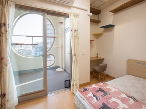 猫用通路がある部屋の様子。