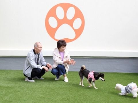 広々とした共有スペースの様子。どこかの施設内であることが分かる写真